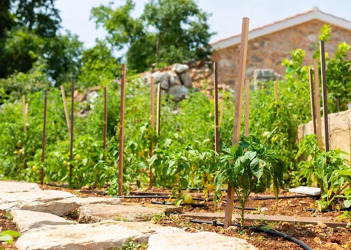 Stone Mill House Vila Vrh (Krk)