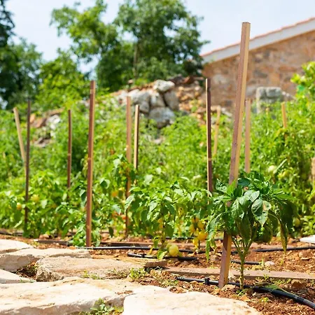 Stone Mill House Willa Vrh (Krk)