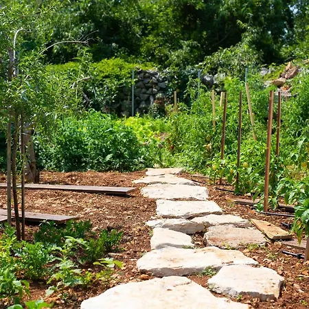 Stone Mill House וילה Vrh (Krk)